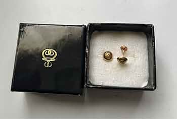 Amazon.co.jp: 藤井フミヤ 18金ファンクラブ限定ピアス 初期